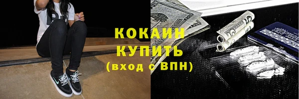 ПСИЛОЦИБИНОВЫЕ ГРИБЫ Балабаново