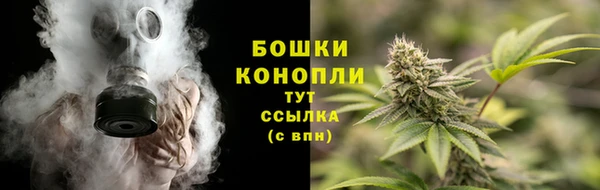 ПСИЛОЦИБИНОВЫЕ ГРИБЫ Балабаново