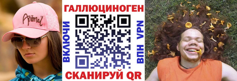 купить закладку Балтийск Псилоцибиновые грибы Psilocybe